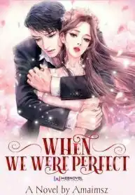 When We Were Perfect