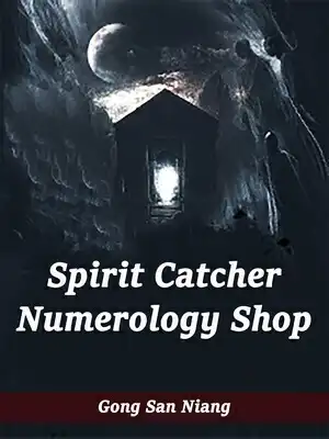Spirit Catcher: Numerology Shop